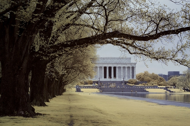 Picture of Washington, D.C., California, United States